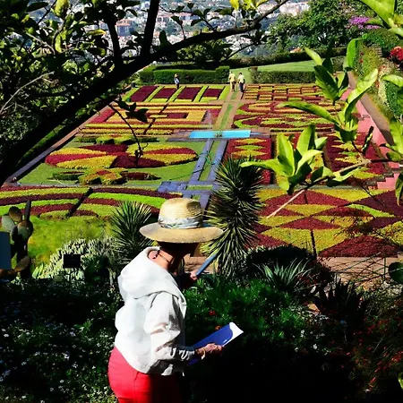 Toca * Funchal (Madeira)