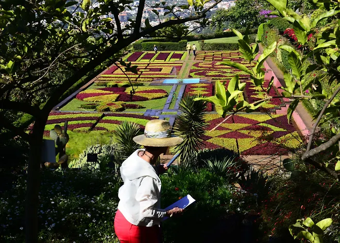 Toca Apartamento Funchal (Madeira)