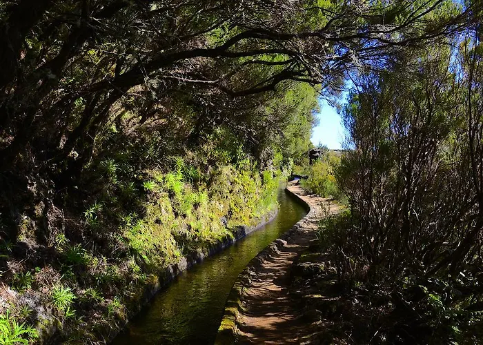 Apartament Toca Funchal (Madeira)